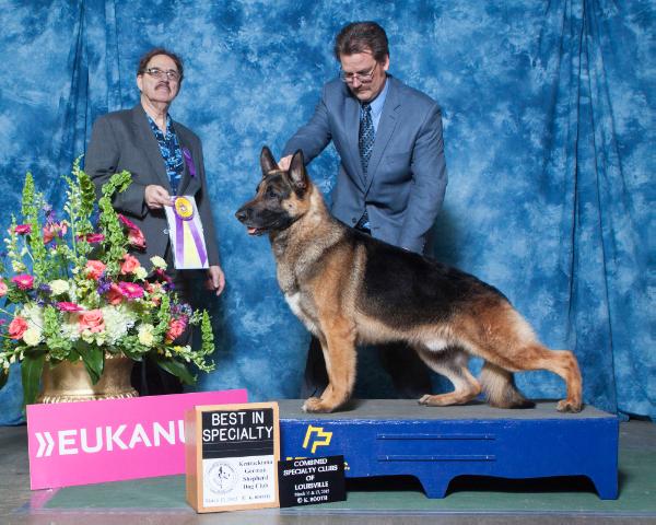 Faithrock Can I Trust U With My Heart | German Shepherd Dog 