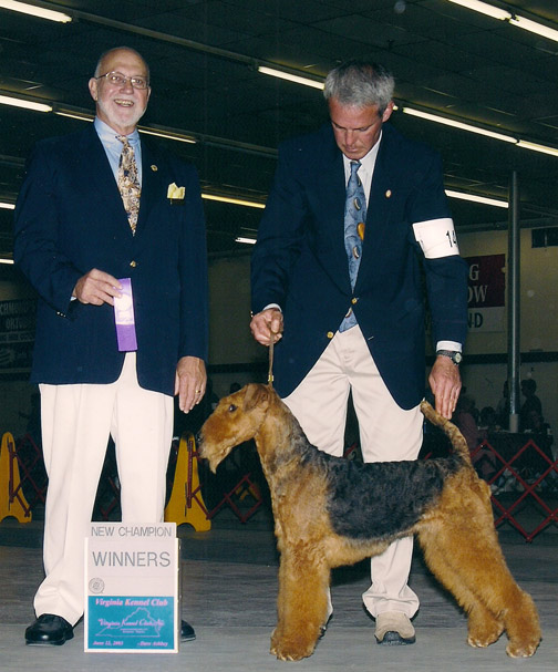 Darbywood's Kaleidoscope Eyes | Airedale Terrier 