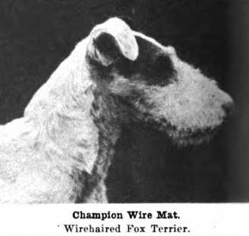 Wire Mat (c.1922) | Wire Fox Terrier 