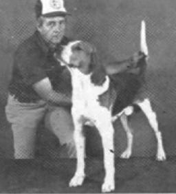 Mears Finley River Jeff | Treeing Walker Coonhound 