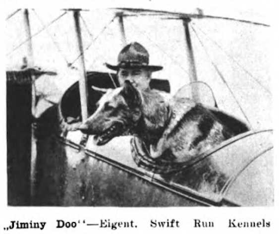 Jiminy Doo (1922) | German Shepherd Dog 