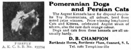 Firefly (1909) 133794 | Pomeranian 