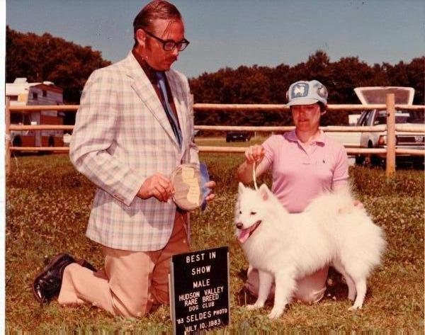 NORTHERN LIGHTS NOKOMIS | American Eskimo Dog 