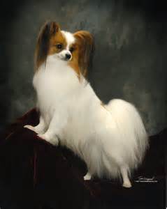 Lorah's Secret Of The Wings | Papillon 
