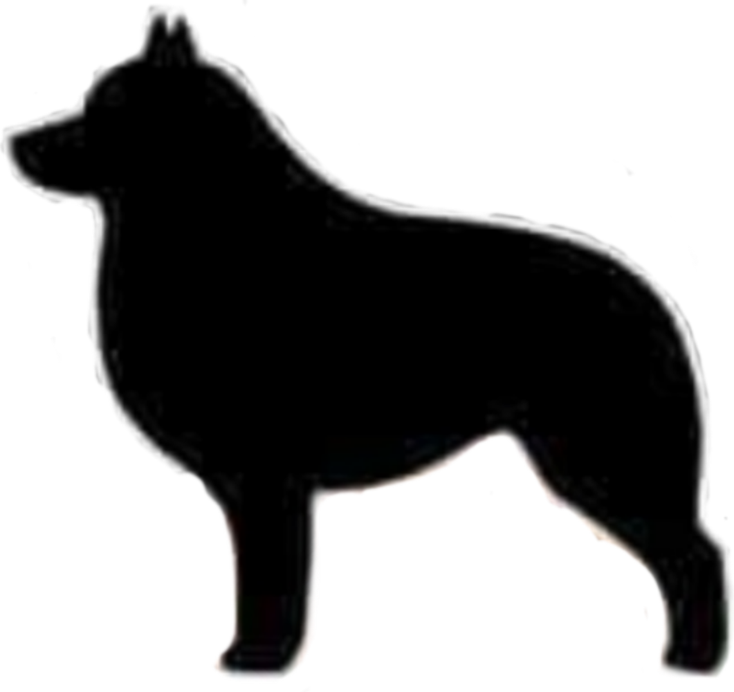 FANDAL'S PHANTOM | Schipperke 