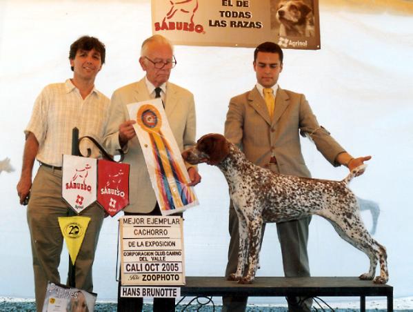 Aspenglow’s Mon Ami Anastashia | German Shorthaired Pointer 