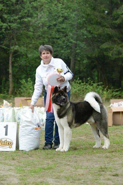 Ilnako Keitaro | Akita 