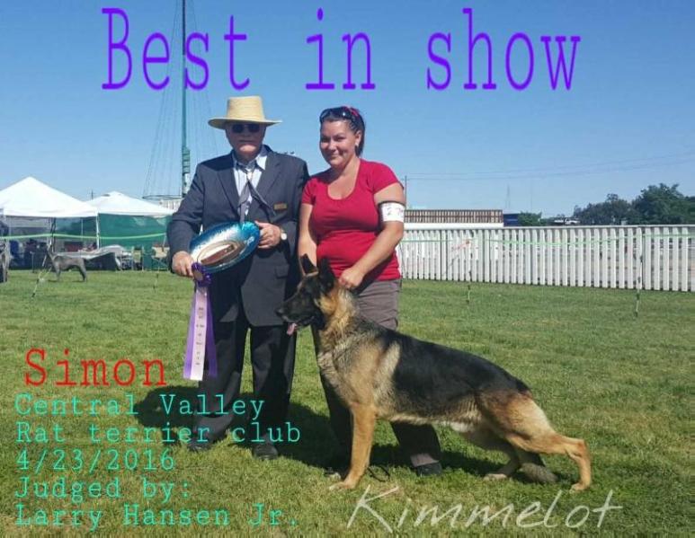 Scherzar's The Last Word | German Shepherd Dog 