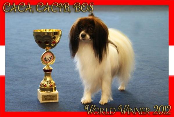 Vilarden's I'm With You | Papillon 