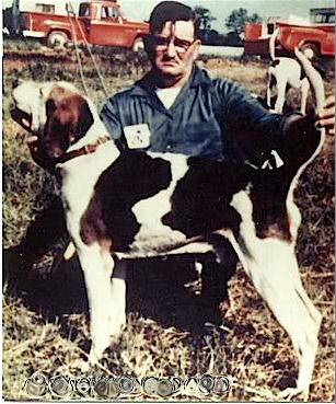 Shetler's Sonny Boy | Treeing Walker Coonhound 