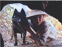 Réglis du manoir des crocs blancs | Schipperke 