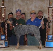 Mead's Blue Jet 8 | Bluetick Coonhound 