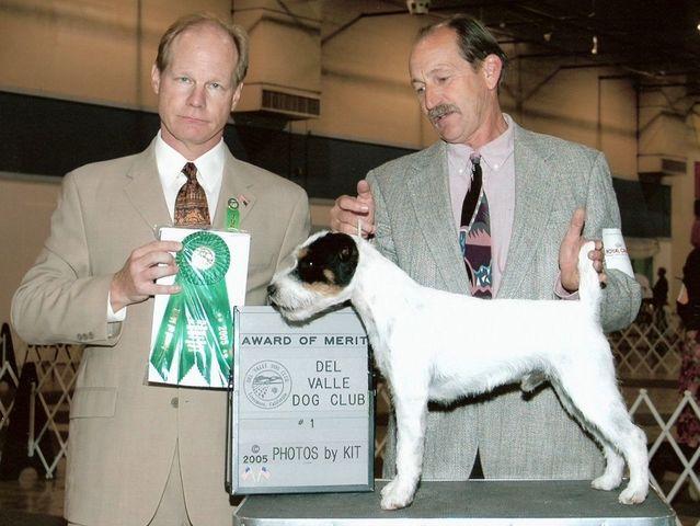 Fox Valley Makin' Waves Rosewood | Parson Russell Terrier 