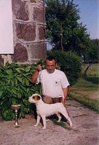 Rednock Caleb | Jack Russell Terrier 