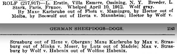 Rolf (1912) | German Shepherd Dog 