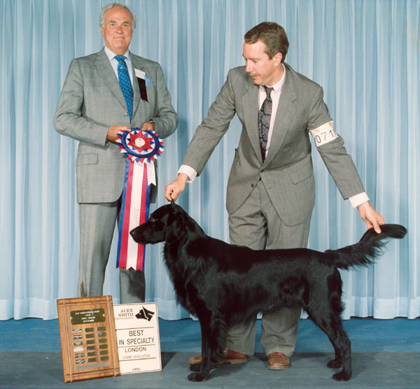 Petersfield Tobias James | Flat-Coated Retriever 