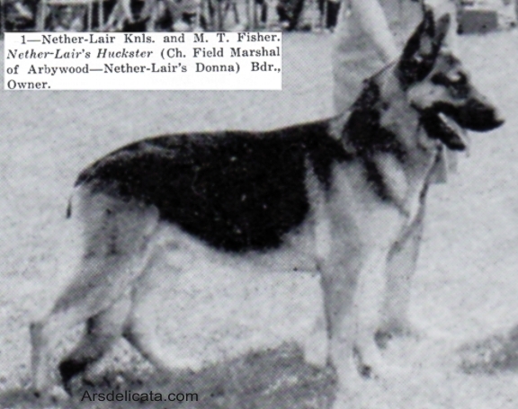 Nether-Lair's Huckster | German Shepherd Dog 
