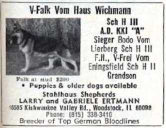 Falk vom Haus Wichmann | German Shepherd Dog 