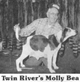 Twin River's Molly Bea | Treeing Walker Coonhound 