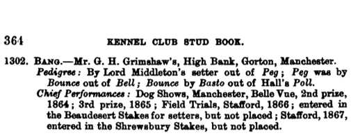 Bang KCSB 001302 1874 [Mr. G.H. Grimshaw's] | English Setter 