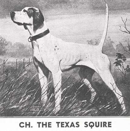 THE TEXAS SQUIRE | Pointer 