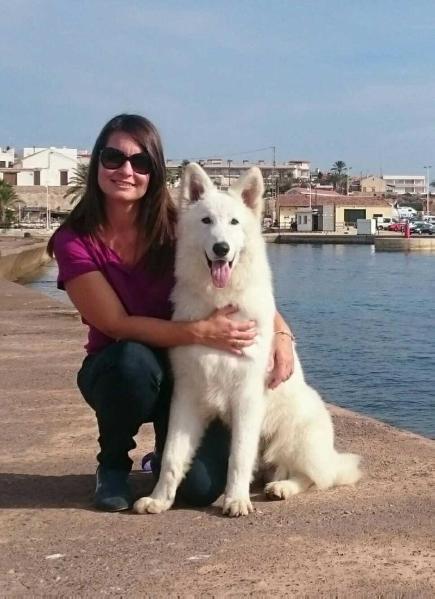 Maximus vom Sutumer-Grund | White Swiss Shepherd Dog 