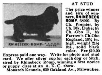 Rhinebeck Romp (068990) | American Cocker Spaniel 