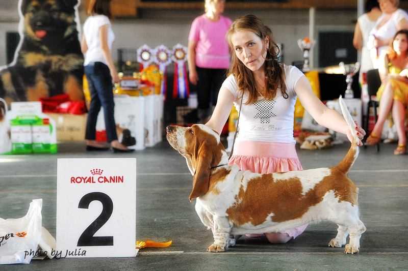 RUDIGI DREAM OF LIFE | Basset Hound 