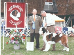 Trademark's Casper of Ggf | Saint Bernard 