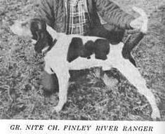 Finley River Ranger | Treeing Walker Coonhound 
