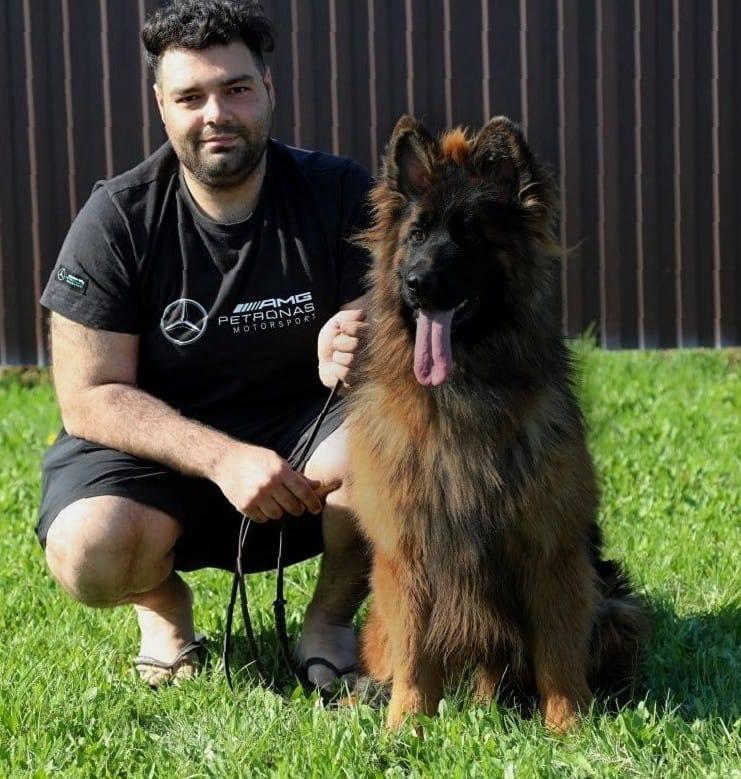 KROOS Team Carrera | German Shepherd Dog 