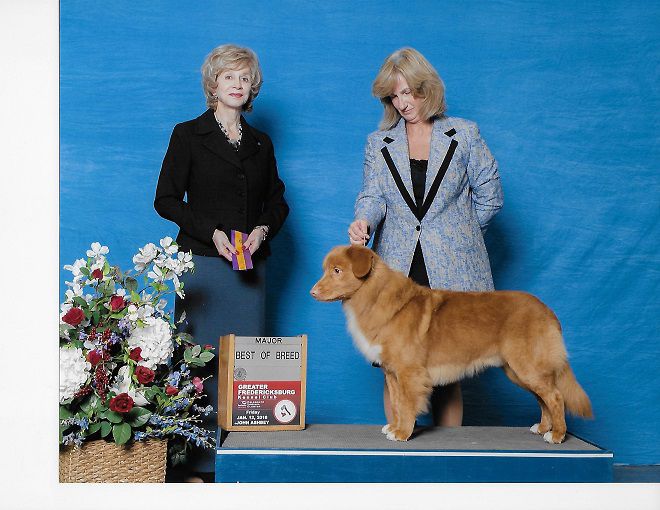 Manitou Sit Down Your Rockn The Boat | Nova Scotia Duck Tolling Retriever 