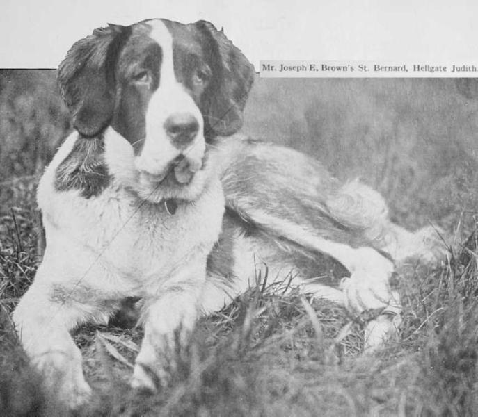 Hellgate Judith [Mr. Joseph E. Brown's] | Saint Bernard 