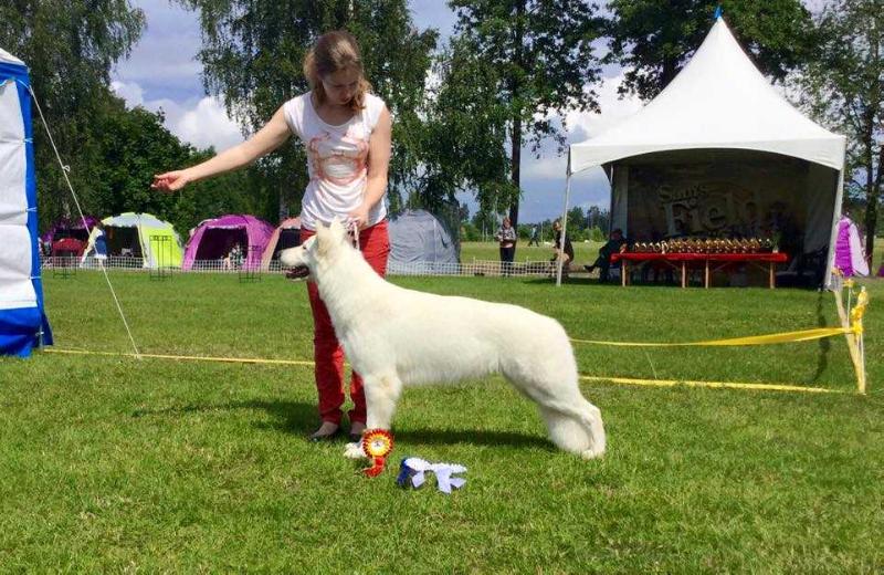Baltic Beauty Made My Day | White Swiss Shepherd Dog 