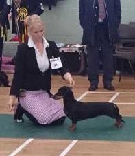 Jägervision Fashionista | Dachshund 