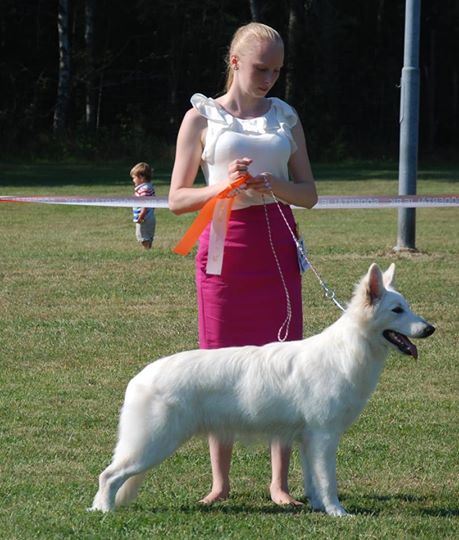 Wings of Linda von Olaf Weise | White Swiss Shepherd Dog 