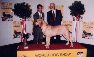 Xadrez of Eshabeta II | Fila Brasileiro 