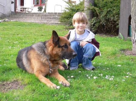 Digger vom Sennebachtal | German Shepherd Dog 