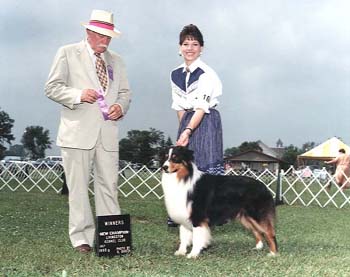 Thornapple Hot Rize | Australian Shepherd 