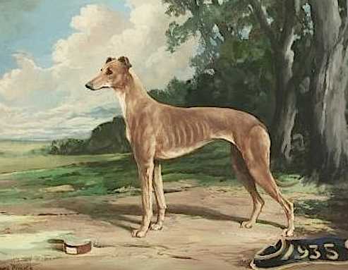 Greta Ranee (~1935) | Greyhound 