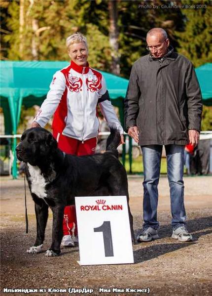 ???????? ?? ????? | Central Asian Shepherd Dog 
