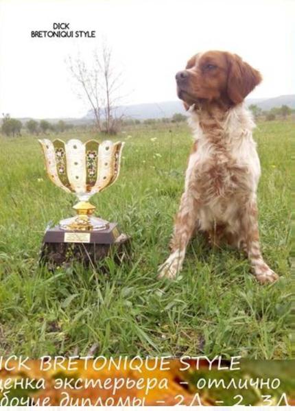 DICK Bretonique Style | Brittany 