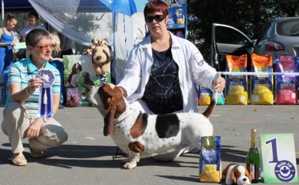 Amelhuk Grin De Vald | Basset Hound 