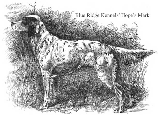 Hope's Mark (Blue Ridge Kennels) (~1891) | English Setter 