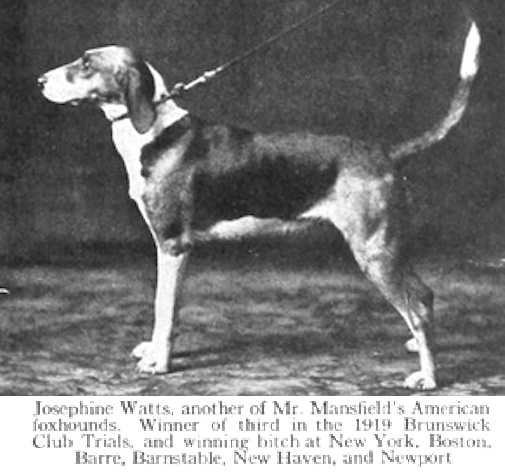 Josephine Watts (~1920) | American Foxhound 