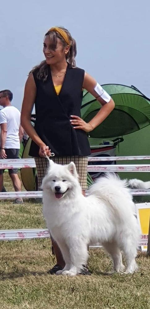 MISS EARTH Sesto Senso | Samoyed 