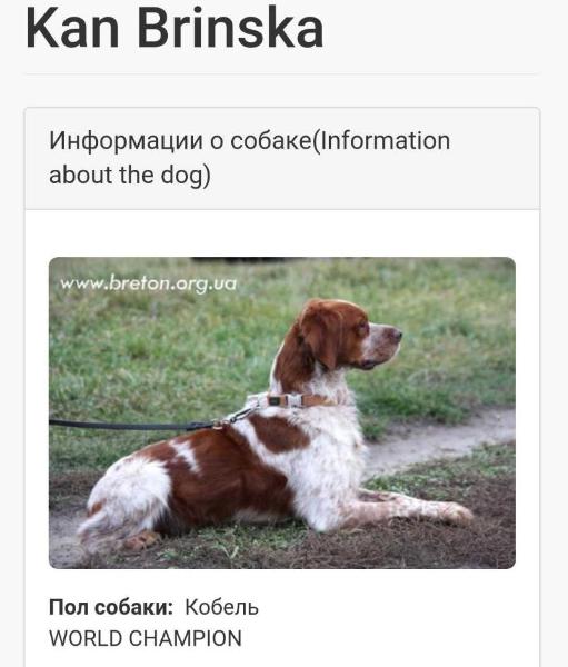 KAN Brinska | Brittany 