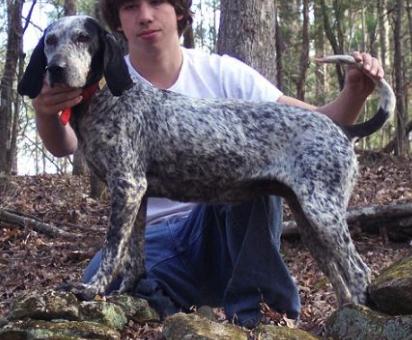 Blue River Snowball | Bluetick Coonhound 