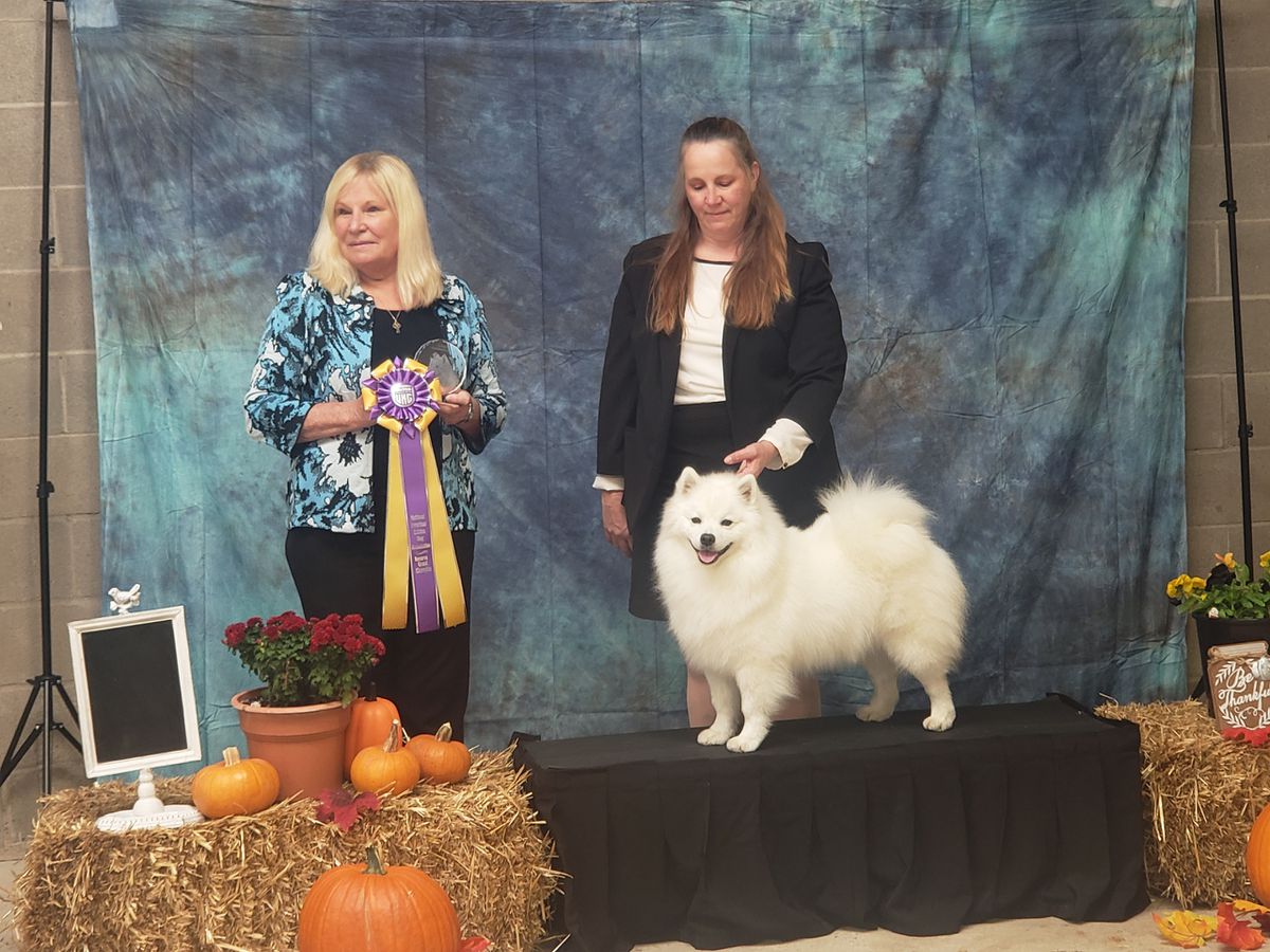 Fissan's Sign O' The Times | American Eskimo Dog 