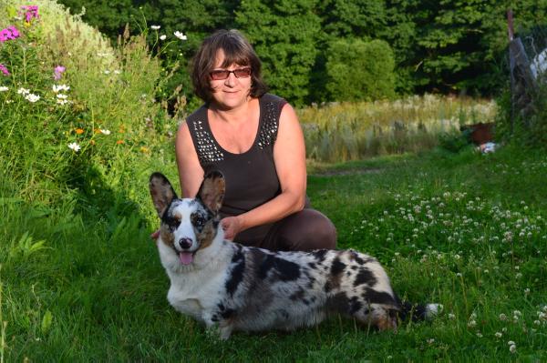 Pemcader Singing the Blues | Cardigan Welsh Corgi 